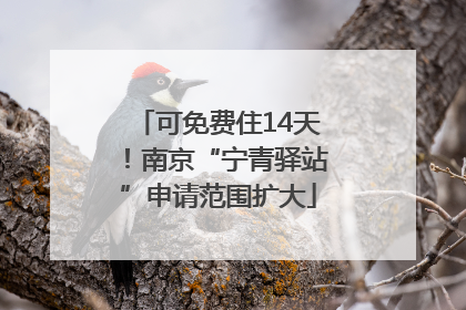 可免费住14天！南京“宁青驿站”申请范围扩大