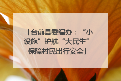 台前县委编办：“小设施”护航“大民生” 保障村民出行安全