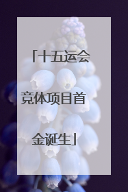 十五运会竞体项目首金诞生
