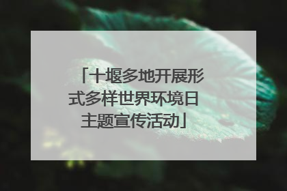 十堰多地开展形式多样世界环境日主题宣传活动