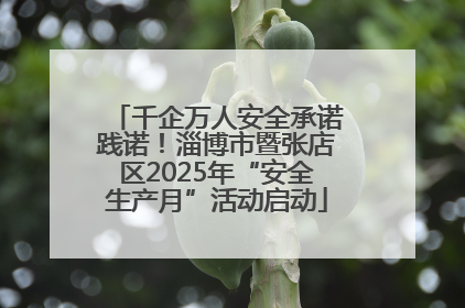 千企万人安全承诺践诺！淄博市暨张店区2025年“安全生产月”活动启动