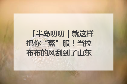 半岛叨叨｜就这样把你“蒸”服！当拉布布的风刮到了山东馒头界……