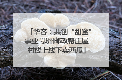 华容：共创“甜蜜”事业 鄂州邮政帮庄屋村线上线下卖西瓜