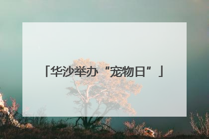 华沙举办“宠物日”