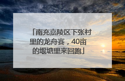 南充嘉陵区下张村里的龙舟赛，40亩的堰塘里来回跑