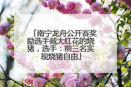 南宁龙舟公开赛奖励选手戴大红花的烧猪，选手：前三名实现烧猪自由
