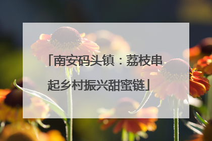 南安码头镇：荔枝串起乡村振兴甜蜜链