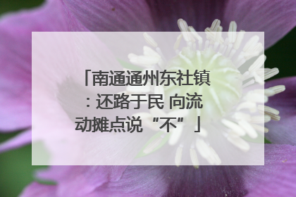 南通通州东社镇：还路于民 向流动摊点说“不”