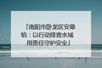 南阳市卧龙区安皋镇：以行动排查水域 用责任守护安全