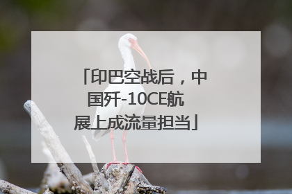 印巴空战后，中国歼-10CE航展上成流量担当