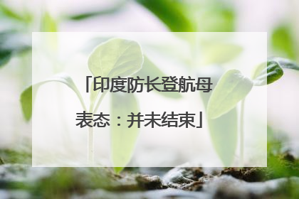印度防长登航母表态：并未结束
