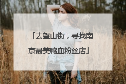 去望山街，寻找南京最美鸭血粉丝店