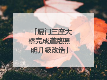 厦门三座大桥完成道路照明升级改造