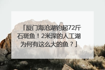 厦门海沧湖钓起72斤石斑鱼！2米深的人工湖为何有这么大的鱼？