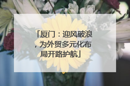 厦门：迎风破浪，为外贸多元化布局开路护航