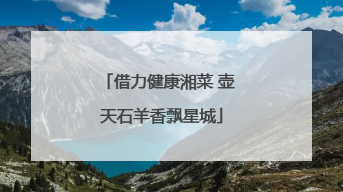 借力健康湘菜 壶天石羊香飘星城