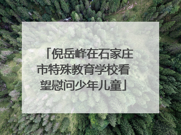 倪岳峰在石家庄市特殊教育学校看望慰问少年儿童