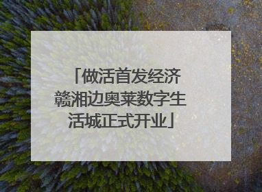 做活首发经济 赣湘边奥莱数字生活城正式开业