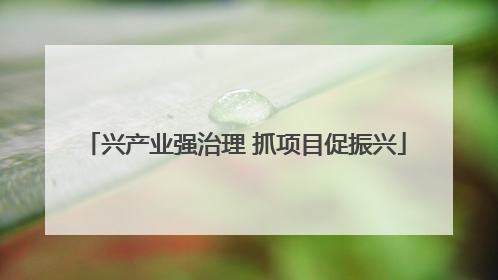 兴产业强治理 抓项目促振兴