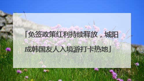 免签政策红利持续释放，城阳成韩国友人入境游打卡热地