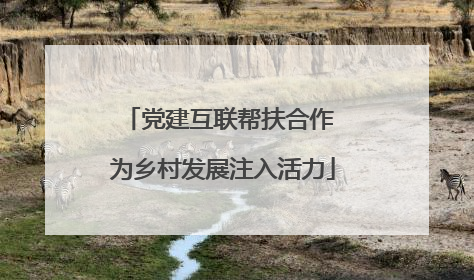 党建互联帮扶合作 为乡村发展注入活力