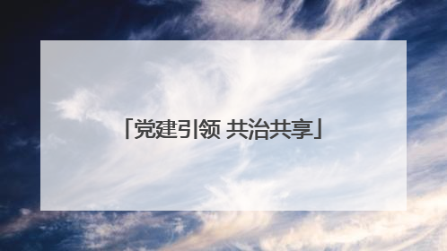 党建引领 共治共享