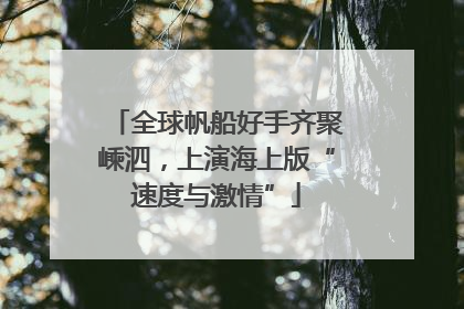 全球帆船好手齐聚嵊泗，上演海上版“速度与激情”