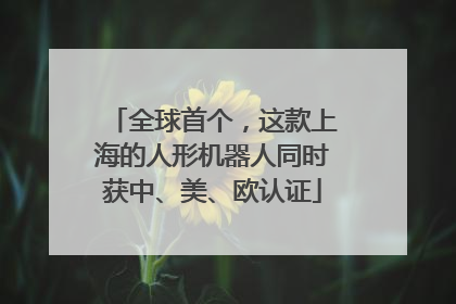 全球首个，这款上海的人形机器人同时获中、美、欧认证