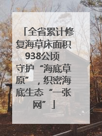 全省累计修复海草床面积938公顷 守护“海底草原”，织密海底生态“一张网”