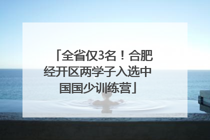 全省仅3名！合肥经开区两学子入选中国国少训练营