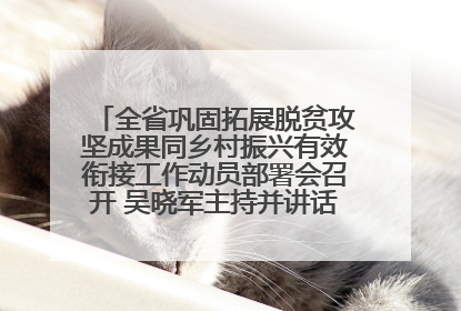 全省巩固拓展脱贫攻坚成果同乡村振兴有效衔接工作动员部署会召开 吴晓军主持并讲话 罗东川作安排部署