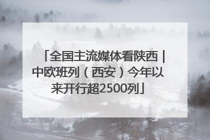全国主流媒体看陕西｜中欧班列（西安）今年以来开行超2500列