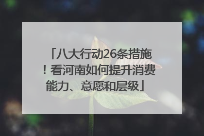 八大行动26条措施！看河南如何提升消费能力、意愿和层级