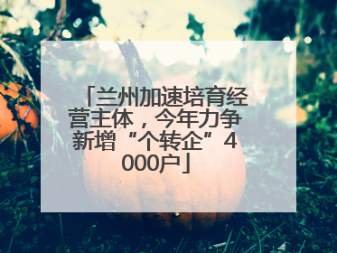 兰州加速培育经营主体，今年力争新增“个转企”4000户