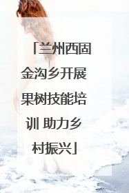 兰州西固金沟乡开展果树技能培训 助力乡村振兴