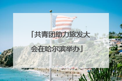 共青团助力旅发大会在哈尔滨举办