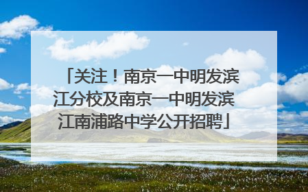 关注！南京一中明发滨江分校及南京一中明发滨江南浦路中学公开招聘