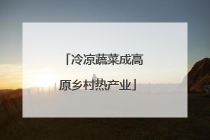 冷凉蔬菜成高原乡村热产业