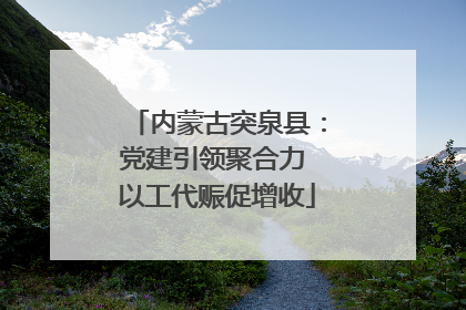 内蒙古突泉县：党建引领聚合力 以工代赈促增收