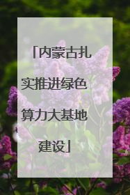 内蒙古扎实推进绿色算力大基地建设