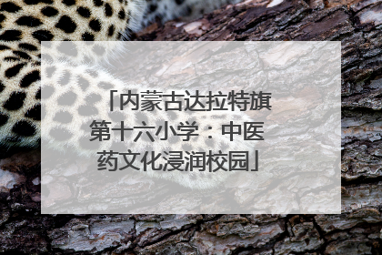 内蒙古达拉特旗第十六小学：中医药文化浸润校园