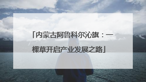 内蒙古阿鲁科尔沁旗：一棵草开启产业发展之路