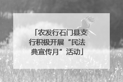 农发行石门县支行积极开展“民法典宣传月”活动
