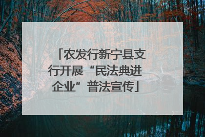 农发行新宁县支行开展“民法典进企业”普法宣传