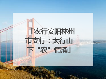 农行安阳林州市支行：太行山下“农”情涌