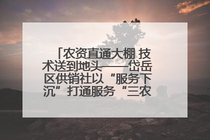 农资直通大棚 技术送到地头——岱岳区供销社以“服务下沉”打通服务“三农”最后一公里