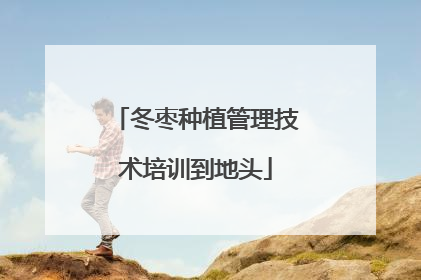 冬枣种植管理技术培训到地头