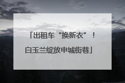 出租车“换新衣”！白玉兰绽放申城街巷