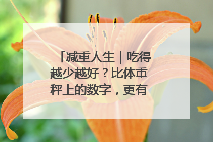 减重人生｜吃得越少越好？比体重秤上的数字，更有意义的是什么？