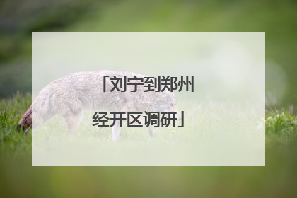 刘宁到郑州经开区调研